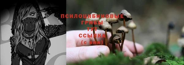 скорость Баксан