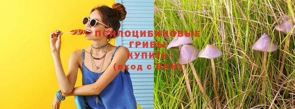 дживик Снежногорск