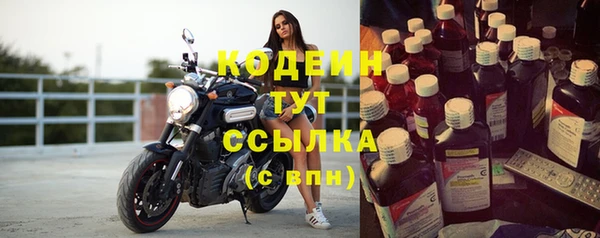 дживик Снежногорск